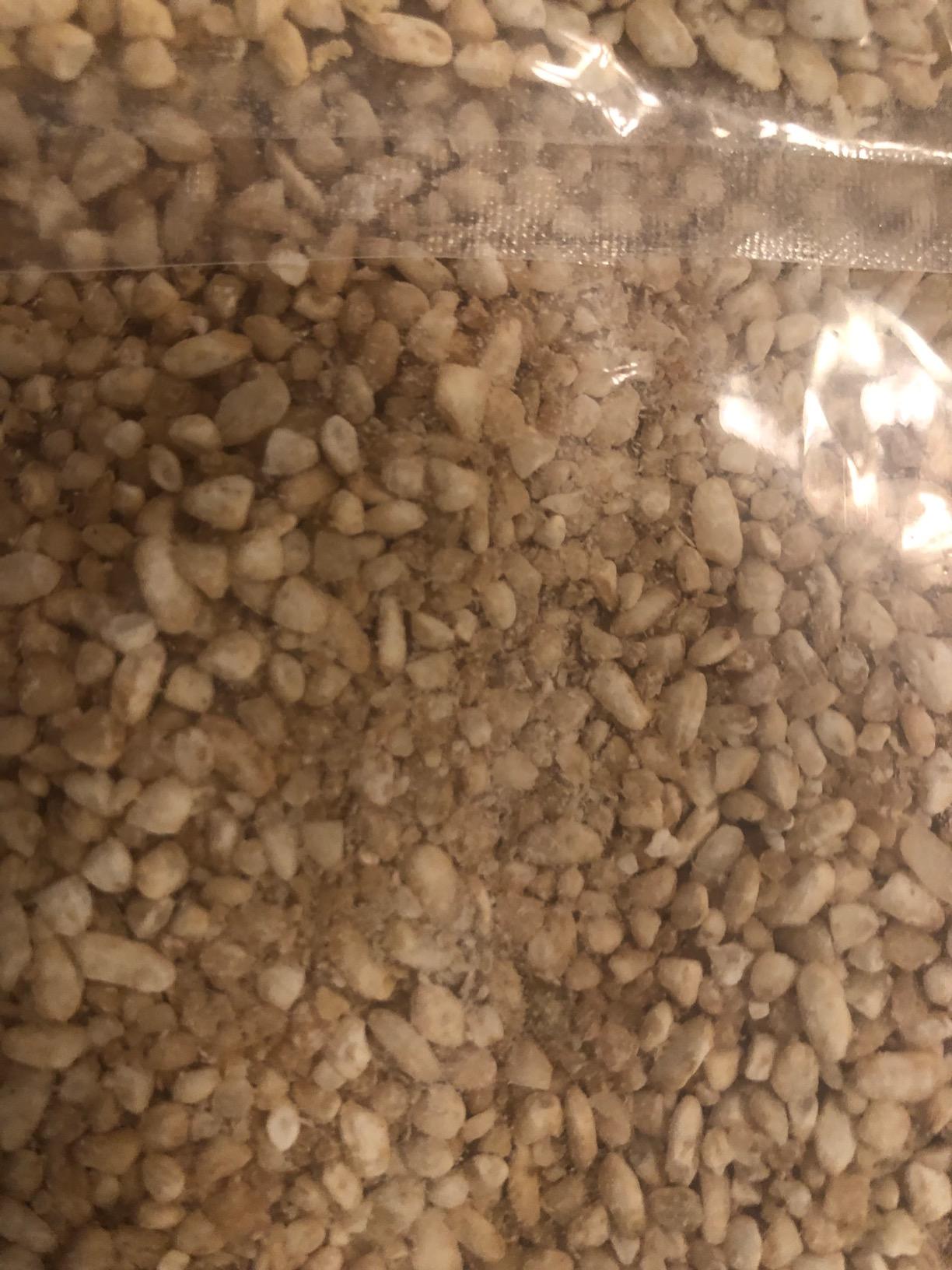 RHAPSODY ORGANIC KOJI - Made in Vermont, USA - Amazake Koji/Shio Koji/Sake Koji, 2-pack (2 x 16 oz) customer photo 1