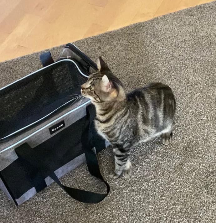 Vceoa 17.5x11x11 Inches Cat, Dog Carrier for Pets Up to 16 Lbs, Soft-Sided Cat Bag Animal Carriers Travel Puppy Carry As a Toy of Fabric Pet Home customer photo 2