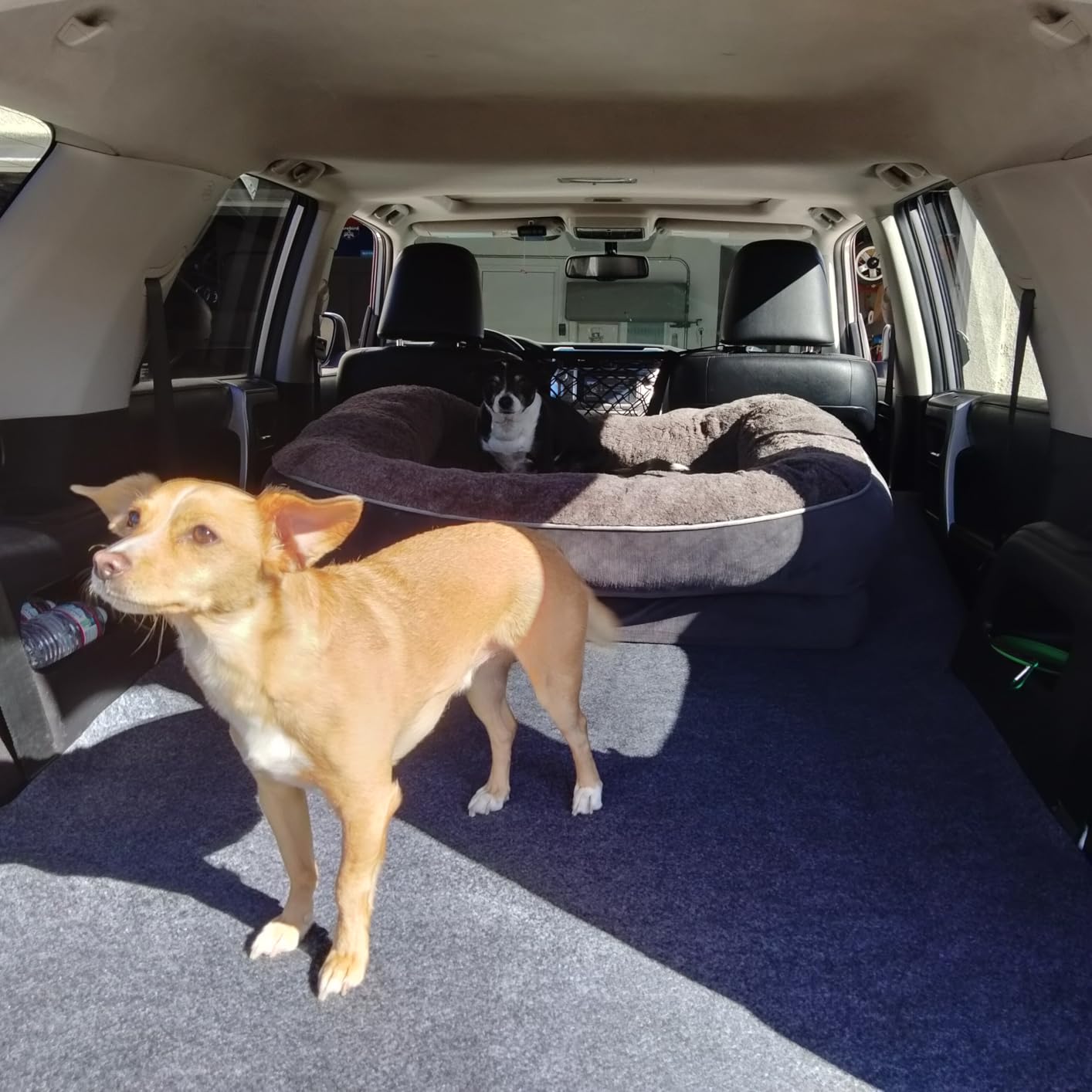 Drymate Cargo Liner Mat (60 x 72) - Dog Seat Cover & Trunk Liner customer photo 1