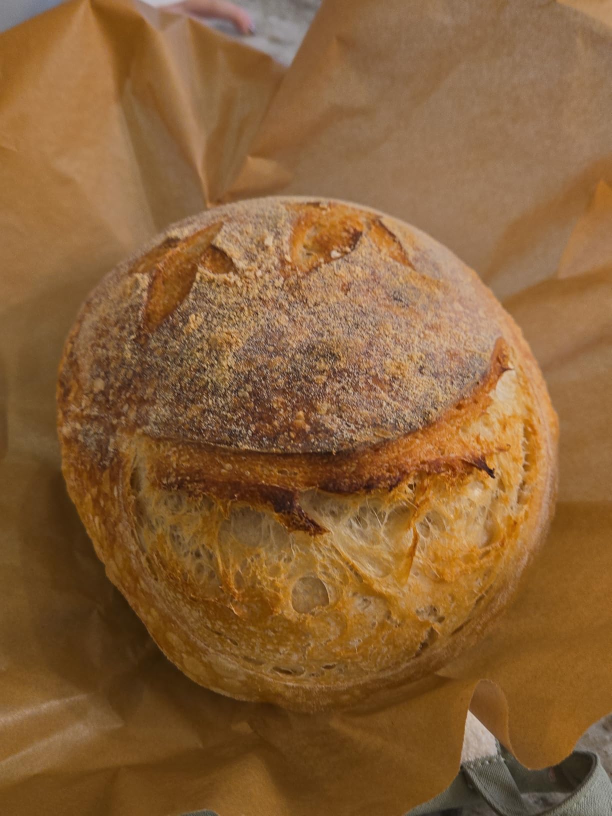 Kate Naturals Vital Wheat Gluten for Bread Making, Baking & Seitan (12oz, High Protein Flour) customer photo 2