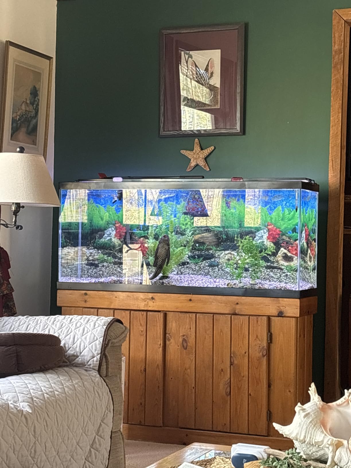 Tetra Glass Aquarium 29 Gallons, Rectangular Fish Tank, Assorted Color customer photo 2