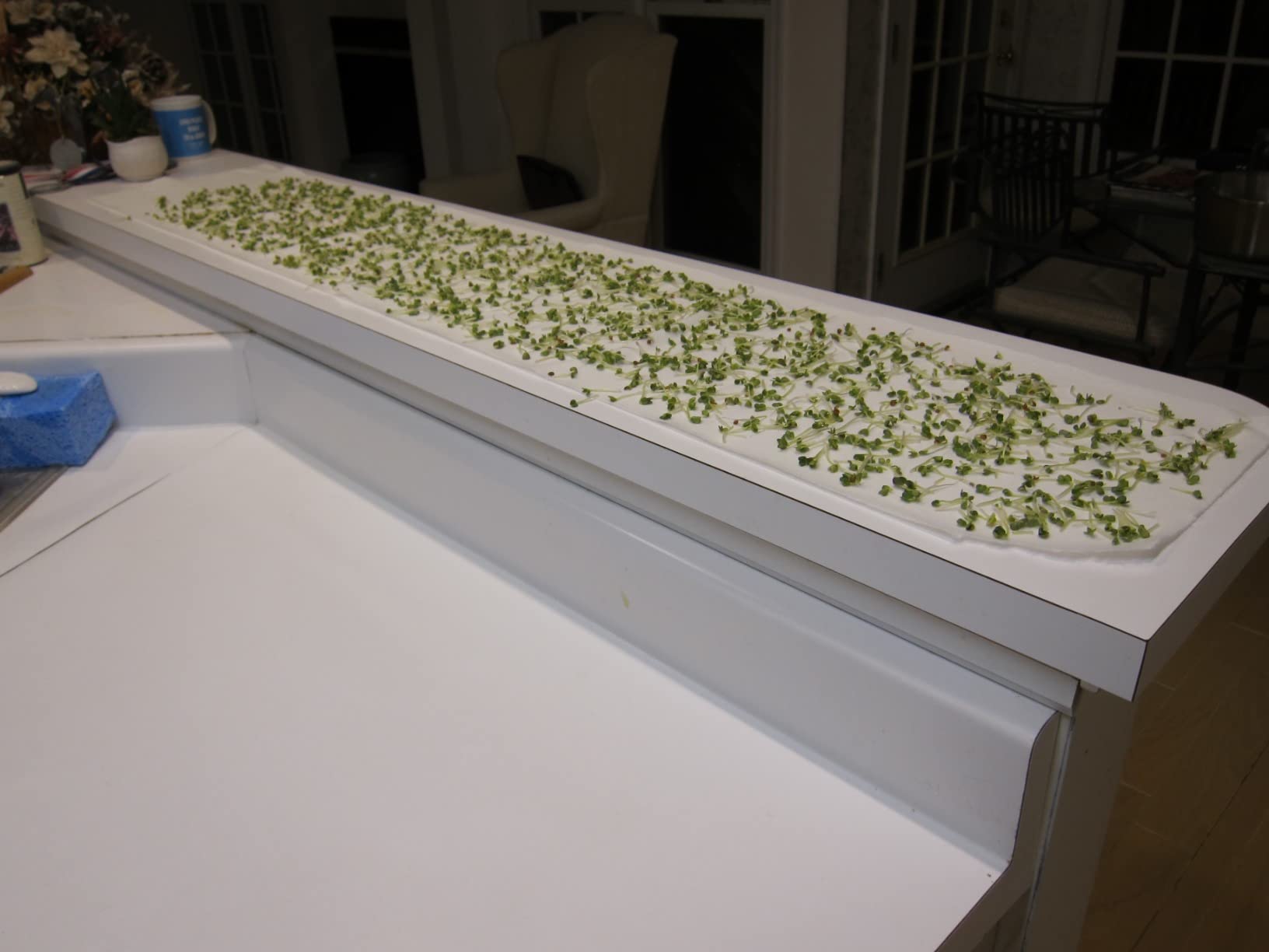 SOLIGT Stackable Stainless Steel Seed Sprouting Kit, 2-Tier Mesh Sprouting Trays, 1 Base and 1 Cover Lid customer photo 1