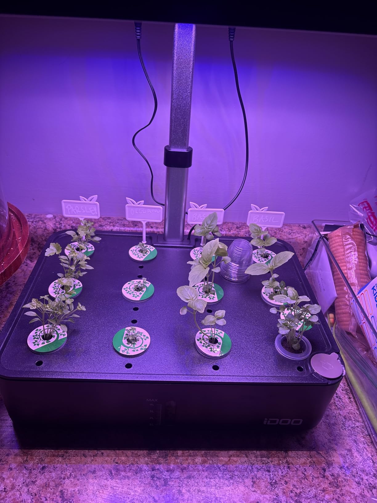 iDOO Hydroponics Growing System Kit 12Pods, Indoor Herb Garden System, with LED Grow Light, Built-in Fan, Auto-Timer, Adjustable Height Up to 11.3