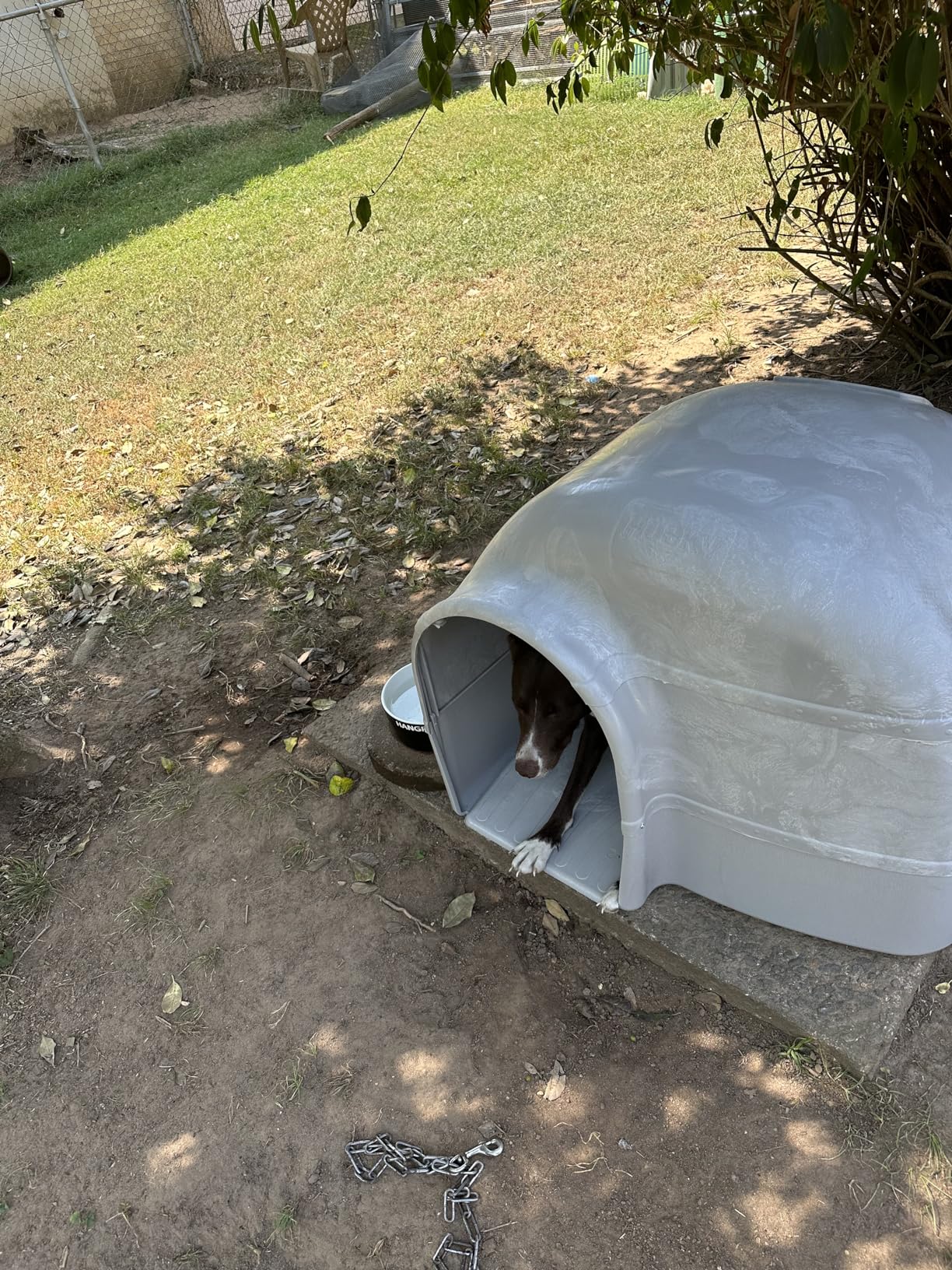 Petmate Husky Dog House for Dogs Up to 90 Pounds, Grey, Made in USA customer photo 2