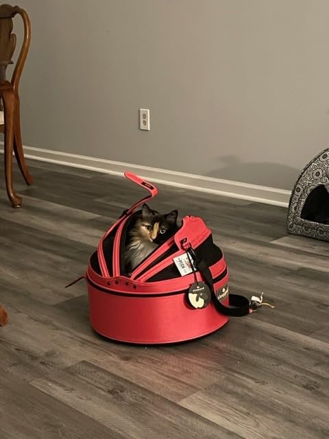 Sleepypod Mobile Pet Bed - Multi-use Travel Pet Bed, Crash-Tested Car Seat, & Carrier for Dogs and Cats up to 15 Pounds (First Blush) customer photo 1