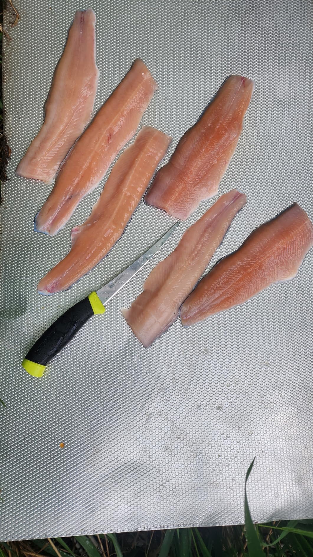 Morakniv Fishing Comfort Fillet Knife with Sandvik Stainless Steel Blade customer photo 1