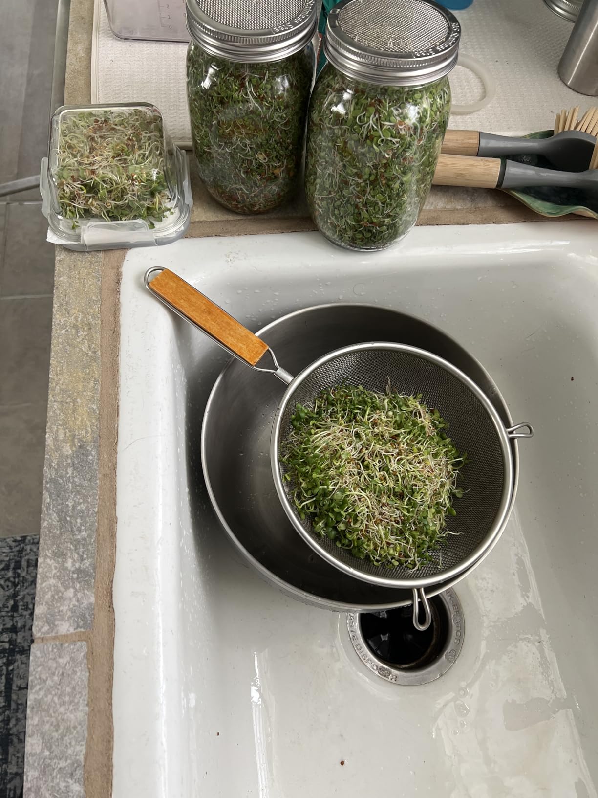 Sprouting Jar Kit - 2 Wide Mouth Quart Mason Jars with 316 Stainless Steel Screen Sprout Lids, Drip Tray, Stand | Seed Sprouter Set for Growing Broccoli, Alfalfa, Mung Bean customer photo 2