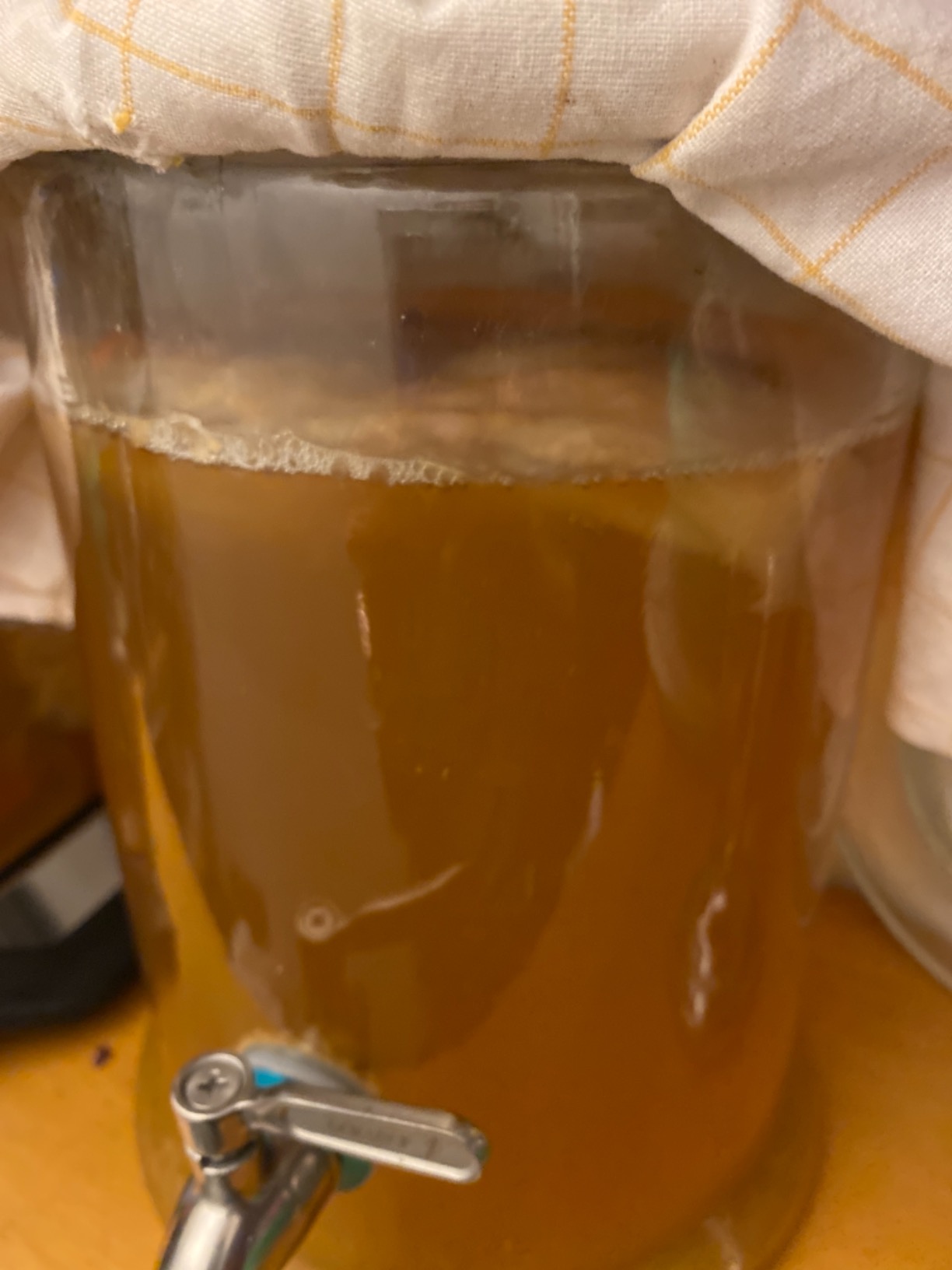 Raw Apple Cider Vinegar Starter Kit with Extra Large Mother Culture Makes a Gallon of Quality ACV at Home customer photo 1
