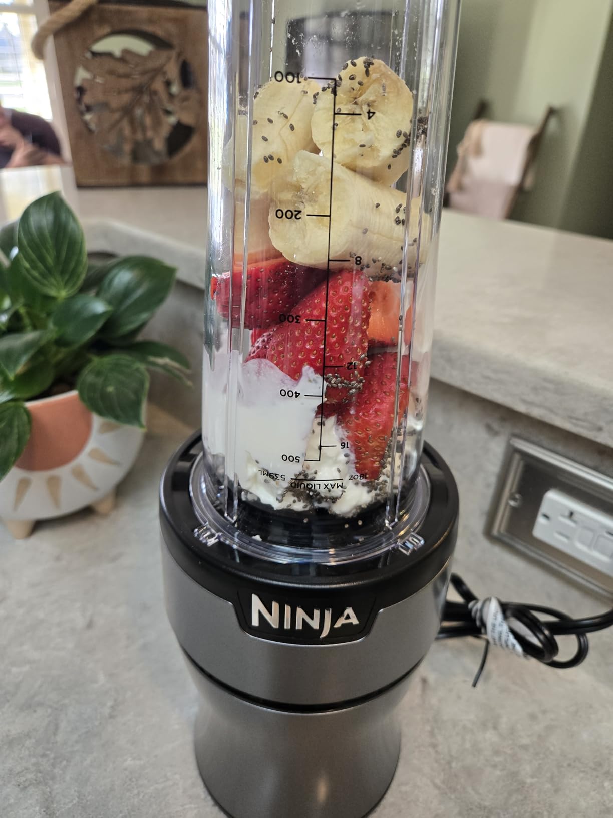 Ninja Nutri-Plus Personal Blender | Compact Push to Blend | Make Frozen Drinks, Smoothies, Sauces & More | With (3) 20 oz. To-Go Cups, (2) Spout-Lids & (1) Storage-Lid | 900 Peak Watt | Silver | BN301 customer photo 2