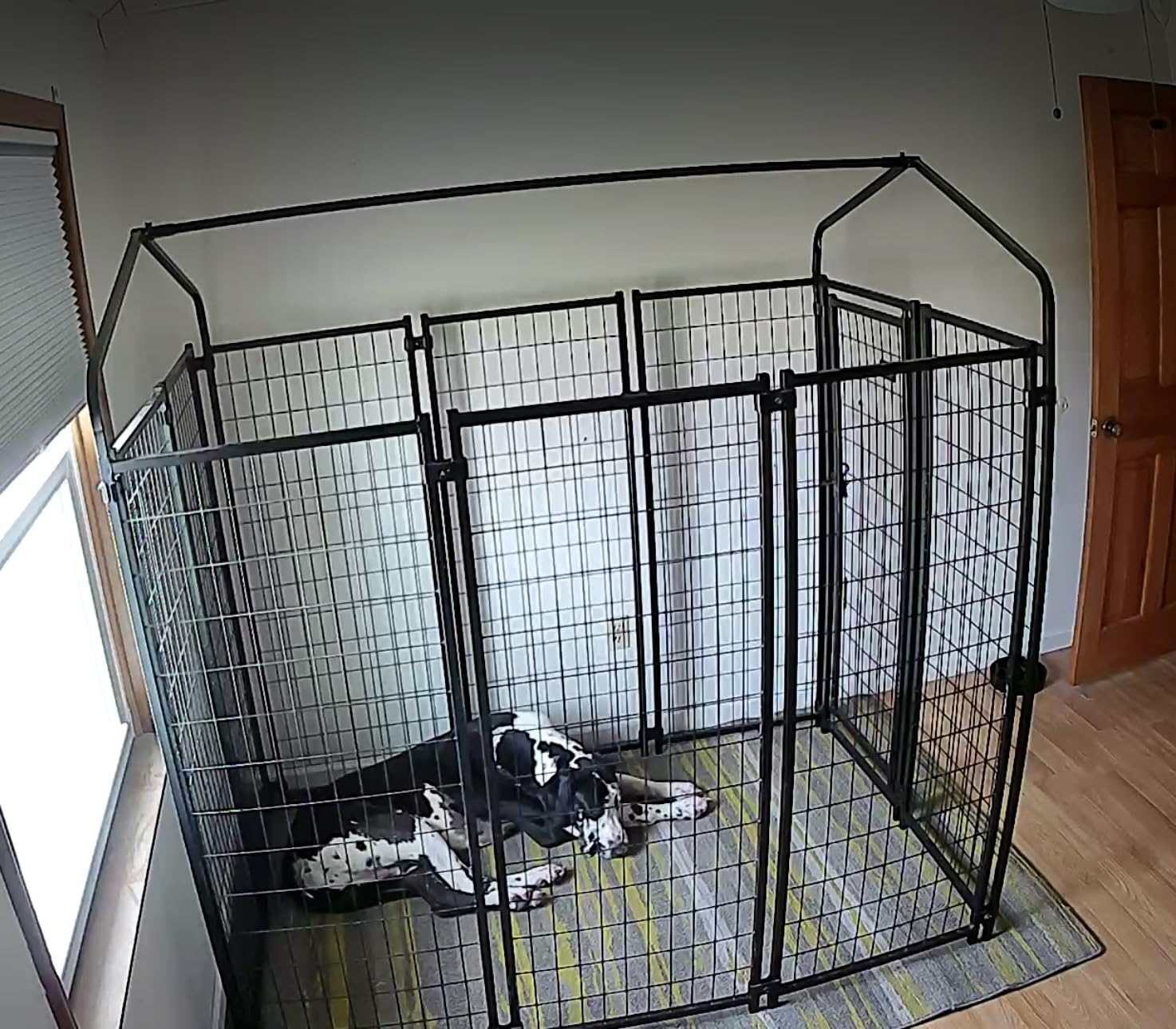 PawHut Outdoor Dog Kennel with Roof, 6' x 4' x 6' Heavy Duty Welded Wire Dog Playpen Enclosure with Escape-Proof Lock, UV-Resistant & Waterproof Cover, for Large Dogs, Chickens, Ducks, Silver customer photo 2