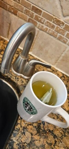 FGO Organic Sencha Green Tea, 100 Count, Eco-Conscious Tea Bags, Sourced From Japan customer photo 2
