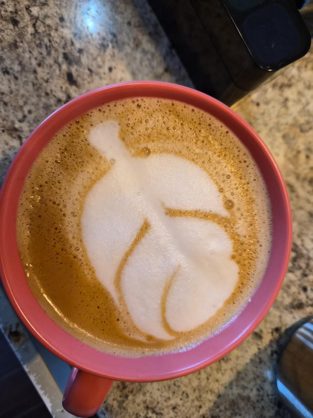 Whole Bean Coffee - Organic - Low Acid - Light Roast - Single Origin - 100% Arabica - Nicaraguan Coffee Beans. Direct Trade - Shade-grown - Gourmet Coffee - 12 oz customer photo 1