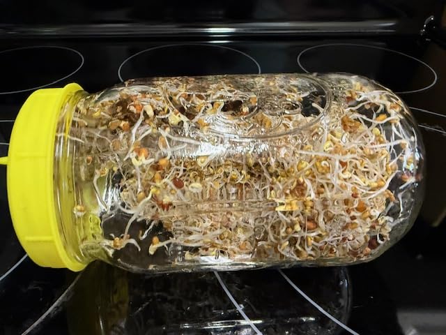 Nature Jim's Sprouts Organic Salad Mix - Non-GMO Microgreen Seeds, Perfect for Growing Nutritious Organic Broccoli, Alfalfa, Radish & Clover Sprouts - Easy Indoor/Outdoor Home Sprouting Seeds - 1lb customer photo 1