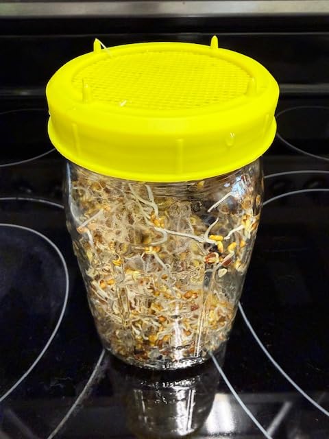 Nature Jim's Sprouts Organic Salad Mix - Non-GMO Microgreen Seeds, Perfect for Growing Nutritious Organic Broccoli, Alfalfa, Radish & Clover Sprouts - Easy Indoor/Outdoor Home Sprouting Seeds - 1lb customer photo 2