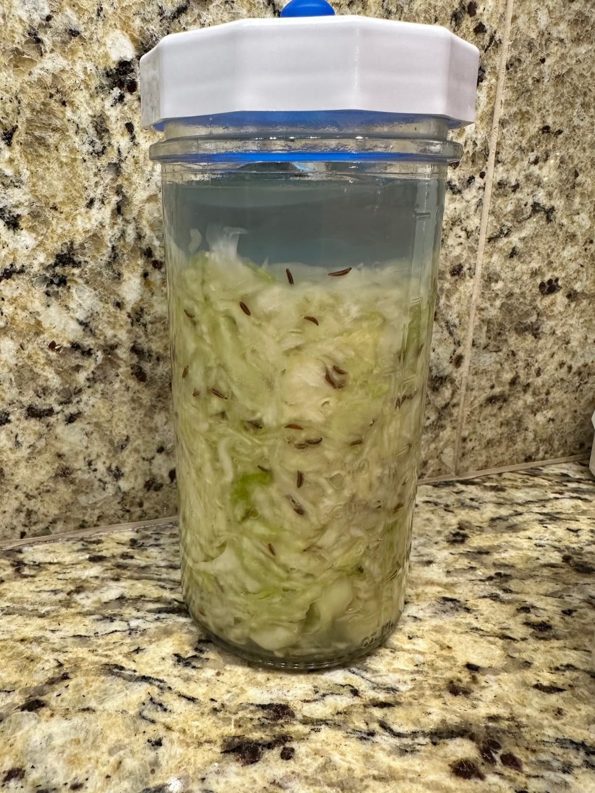 Masontops Fermentation Jar Starter Set, Easy Vegetable Fermentation Kit, Includes Mason Jar, Pickle Kit with Fermentation Lids & Fermentation Weight customer photo 2