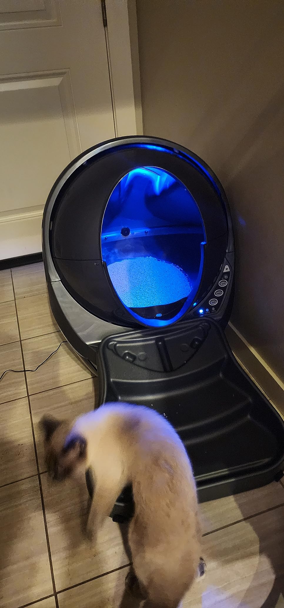 Litter-Robot 3 Connect by Whisker, Grey - Automatic, Self-Cleaning Cat Litter Box, App Control, Helps Reduce Litter Box Odors, Works with Any Clumping Litter, WhiskerCare 1-Year Warranty customer photo 1