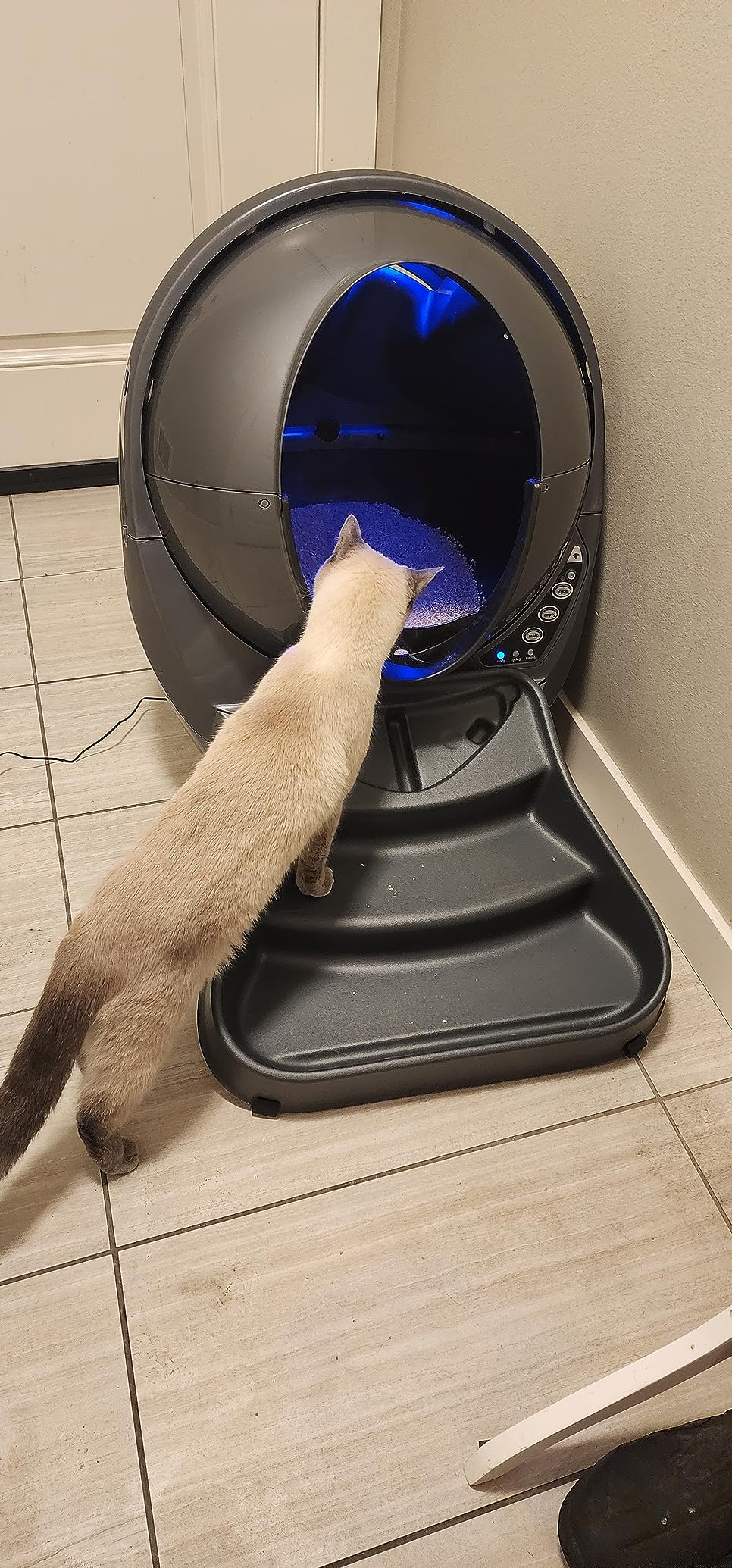 Litter-Robot 3 Connect by Whisker, Grey - Automatic, Self-Cleaning Cat Litter Box, App Control, Helps Reduce Litter Box Odors, Works with Any Clumping Litter, WhiskerCare 1-Year Warranty customer photo 2