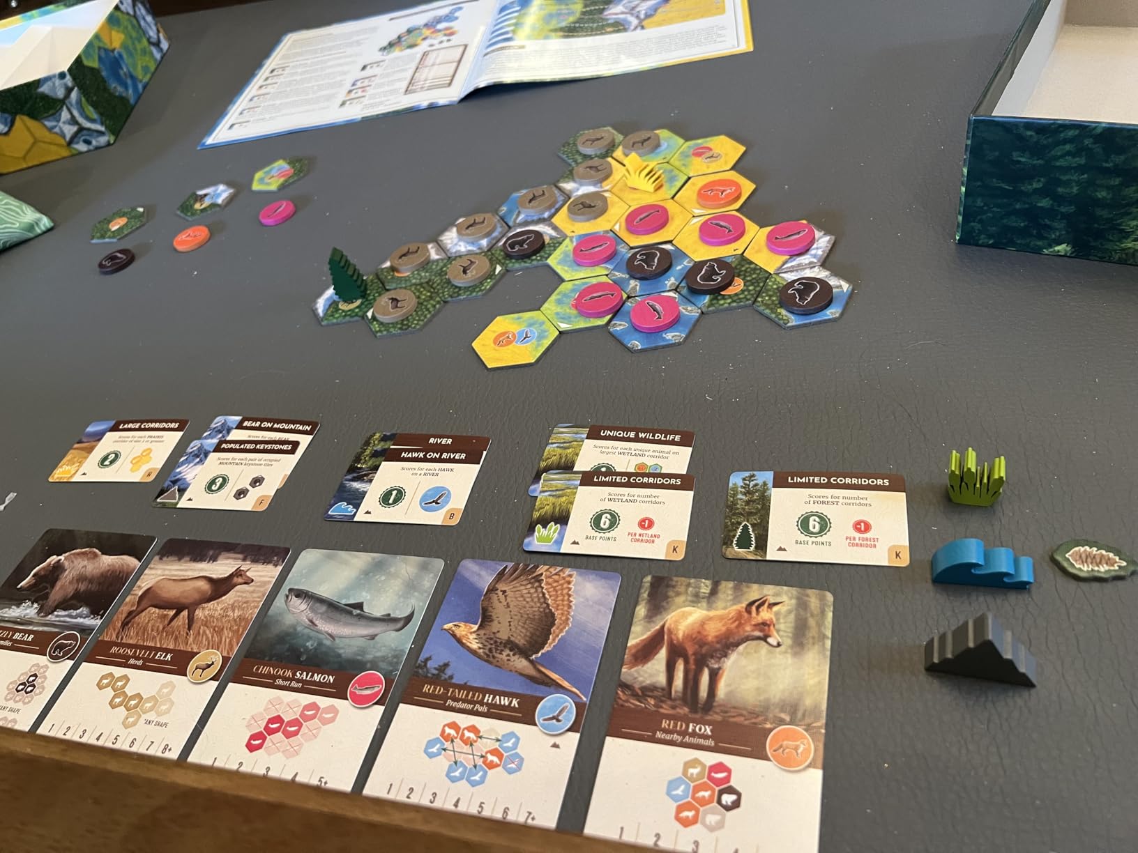 Cascadia - Award-Winning Board Game Set in the Pacific Northwest - Easy to Learn, Quick to Play customer photo 1