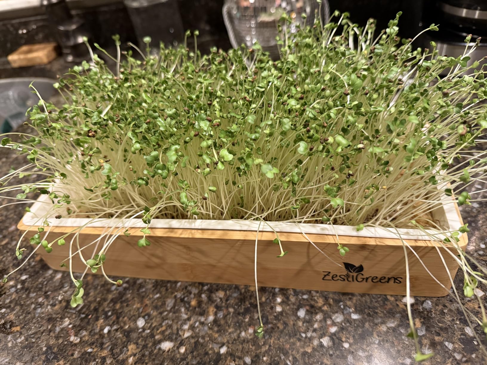 ZESTIGREENS Organic Self-Watering Microgreens Growing Kit - Reusable Indoor Grow Tray with Organic Seeds, Grow Mats & Bamboo Frame - Easy No-Soil Microgreens Starter Kit (Broccoli & Salad Mix) customer photo 2