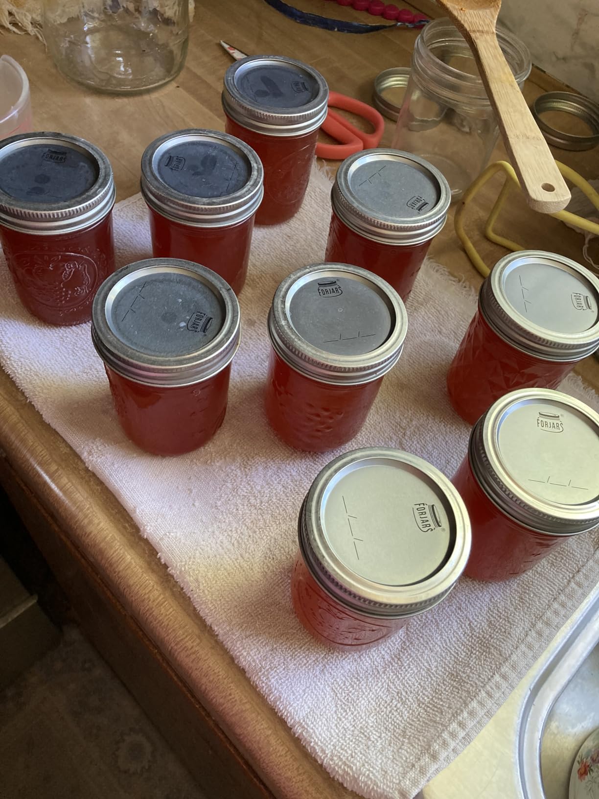 FORJARS - Canning Lids Regular Mouth, 100-Pack - Create Airtight Seals on Mason Jars to Preserve Food for Meal Prep & Food Storage - 2.7 In. Steel Lids with Silicone Seals - Canning Supplies customer photo 1