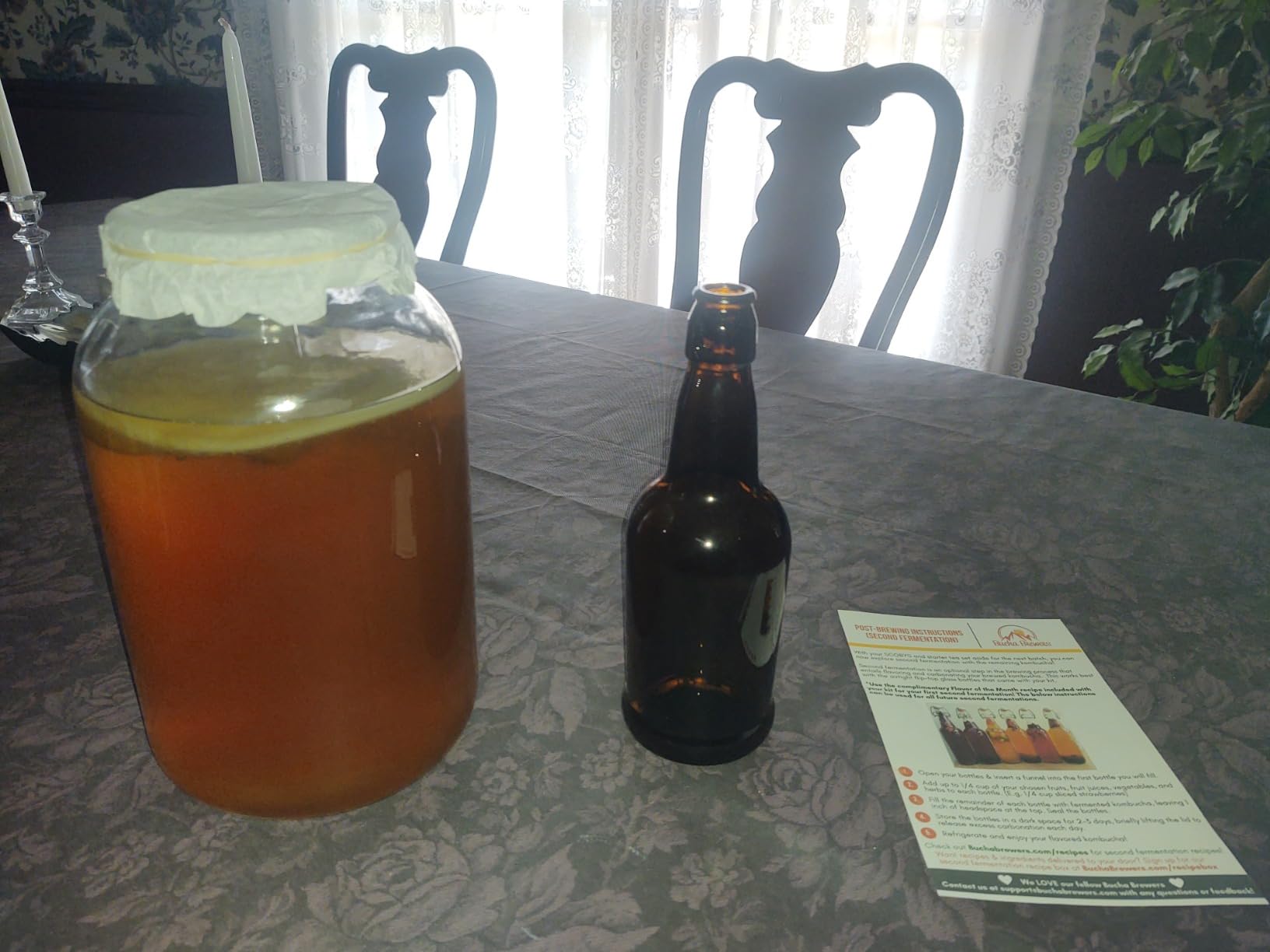 Deluxe Kombucha Starter Kit with Kombucha SCOBY & Starter Tea, Full Kombucha Kit with Bottles Swing Top Glass Bottles Kombucha Brewing Kit + 6 Bottles to Flavor Kombucha customer photo 1