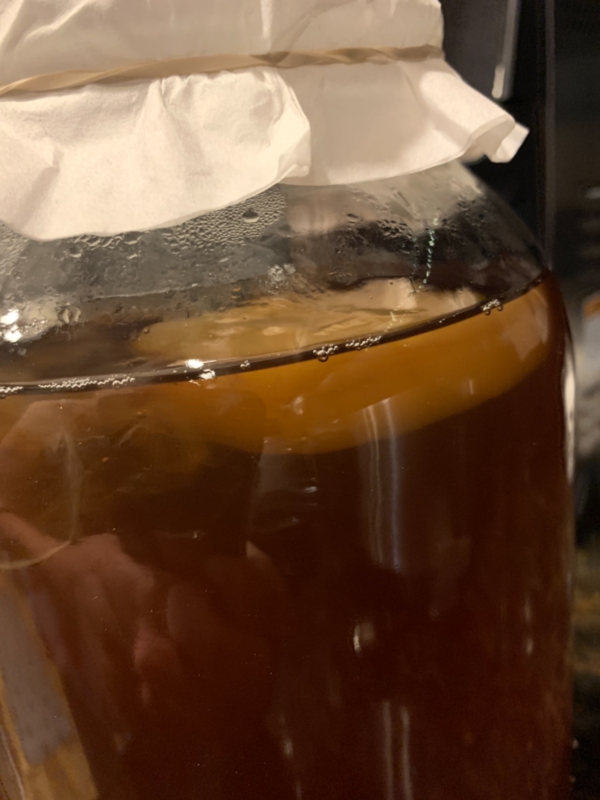 Deluxe Kombucha Starter Kit with Kombucha SCOBY & Starter Tea, Full Kombucha Kit with Bottles Swing Top Glass Bottles Kombucha Brewing Kit + 6 Bottles to Flavor Kombucha customer photo 2
