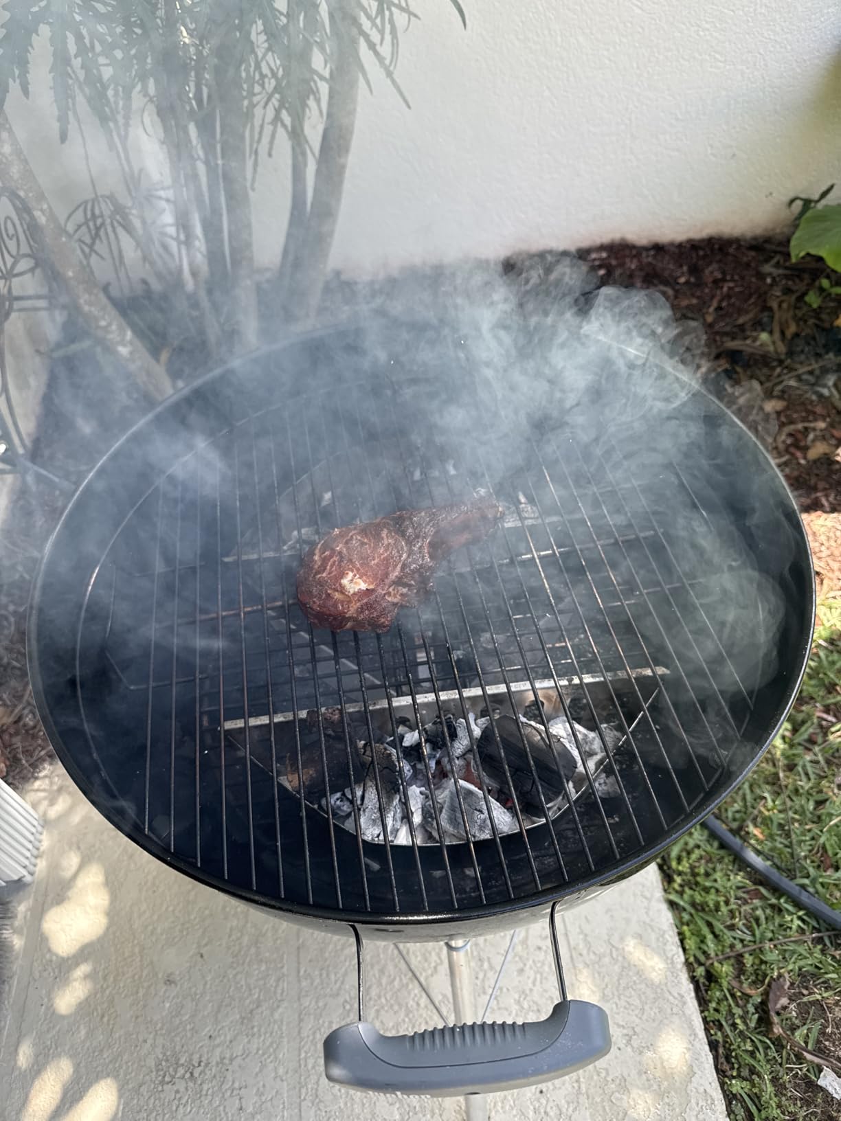 Mr. Bar-B-Q 8 LB. All Natural Hardwood Lump Charcoal - Premium Natural Charcoal for Grilling, BBQ, Smoking, Kamado & Kettle Grills - Burns Hotter & Longer - Smoky Flavor, Low Ash & Easy to Light customer photo 1