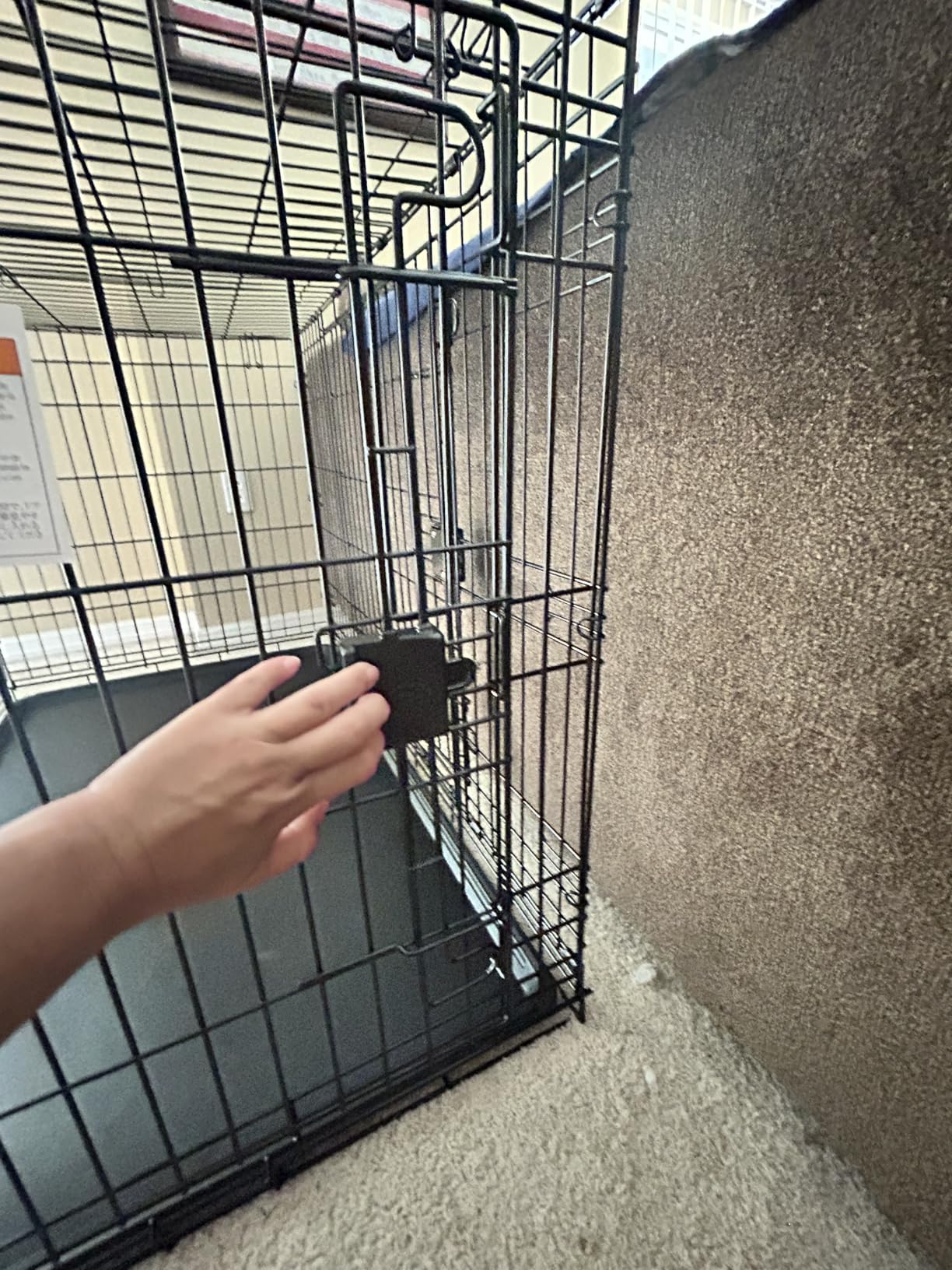 Amazon Basics Portable, Easy to Assemble, Foldable Metal Wire Dog Crate with Removable Tray, Double Door, Divider Panel, Handle, 36