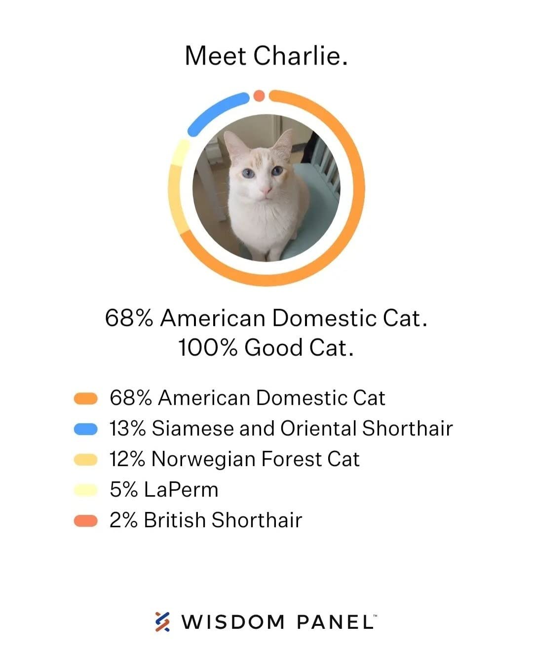 Wisdom Panel Complete: Comprehensive Cat DNA Test kit for 45 Health Genetic Health Conditions, 70+ Breeds and populations, 25+ Traits, Blood Type - Pack of 1 customer photo 2