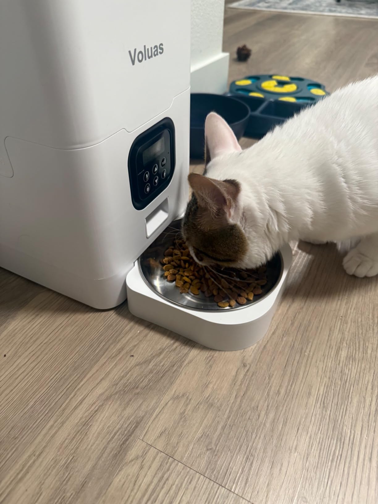 VOLUAS Automatic Cat Feeders - Timed Pet Feeder for Cats and Dogs with Dry Food Dispenser, Desiccant Bag, Programmable Portion Control, 4 Daily Meals, 10s Voice Recorder customer photo 2