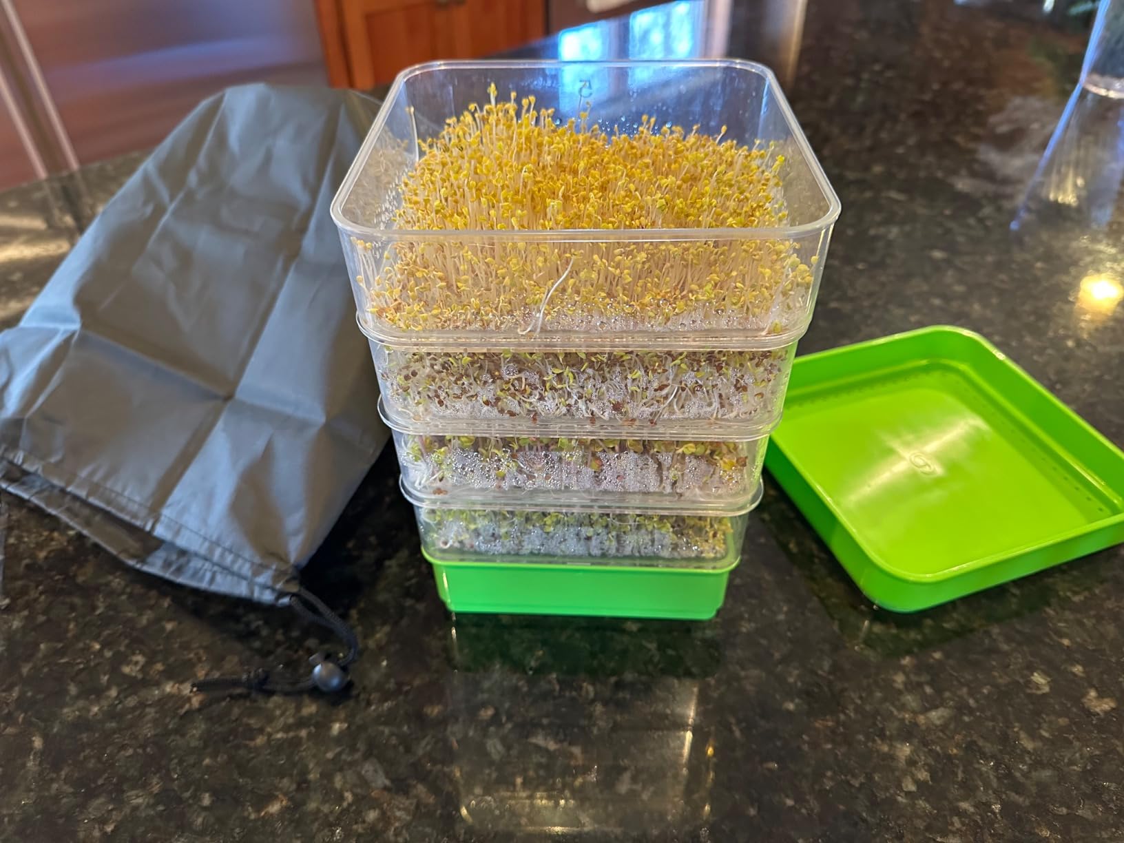 Microgreen Seeds Variety Pack - 10 Heirloom Types for Indoor Sprouting - Broccoli, Pea, Sunflower, Radish, Kale, Arugula & More - High Germination Non-GMO - Survival Garden Seeds (Seed Packs Only) customer photo 2