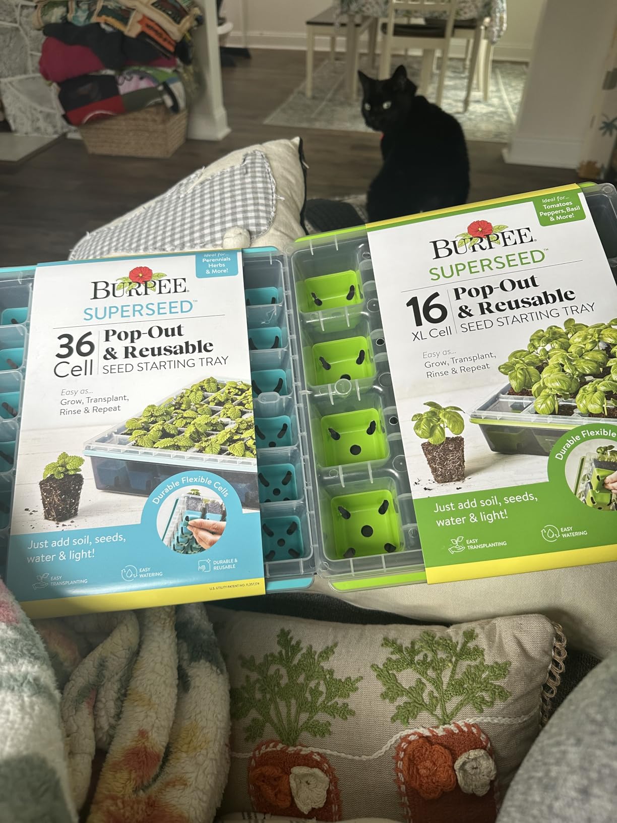 Burpee SuperSeed Seed Starting Tray | 16 XL Cell | Reusable & Dishwasher Safe | for Starting Vegetable Seeds, Flower Seeds & Herb Seeds | Indoor Grow Kit for Deep-Rooted Seedlings customer photo 1