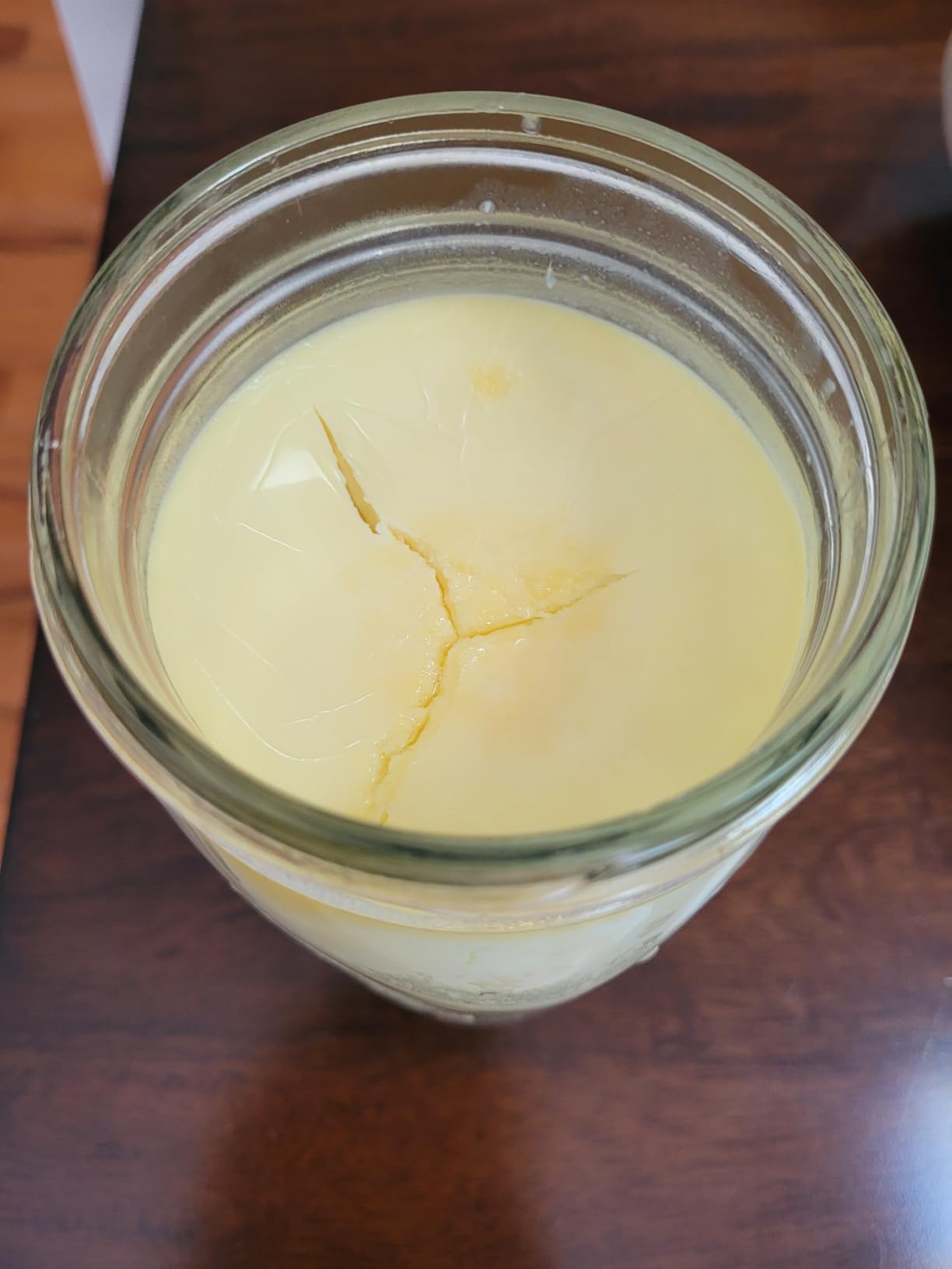 Cutting Edge Cultures LR Superfood Starter Pure L. Reuteri High CFU Low and Slow Fermentation Lab-Verified Reusable Maximum Probiotic Cultured Dairy Not a Yogurt Blend Non GMO Lactobacillus customer photo 1