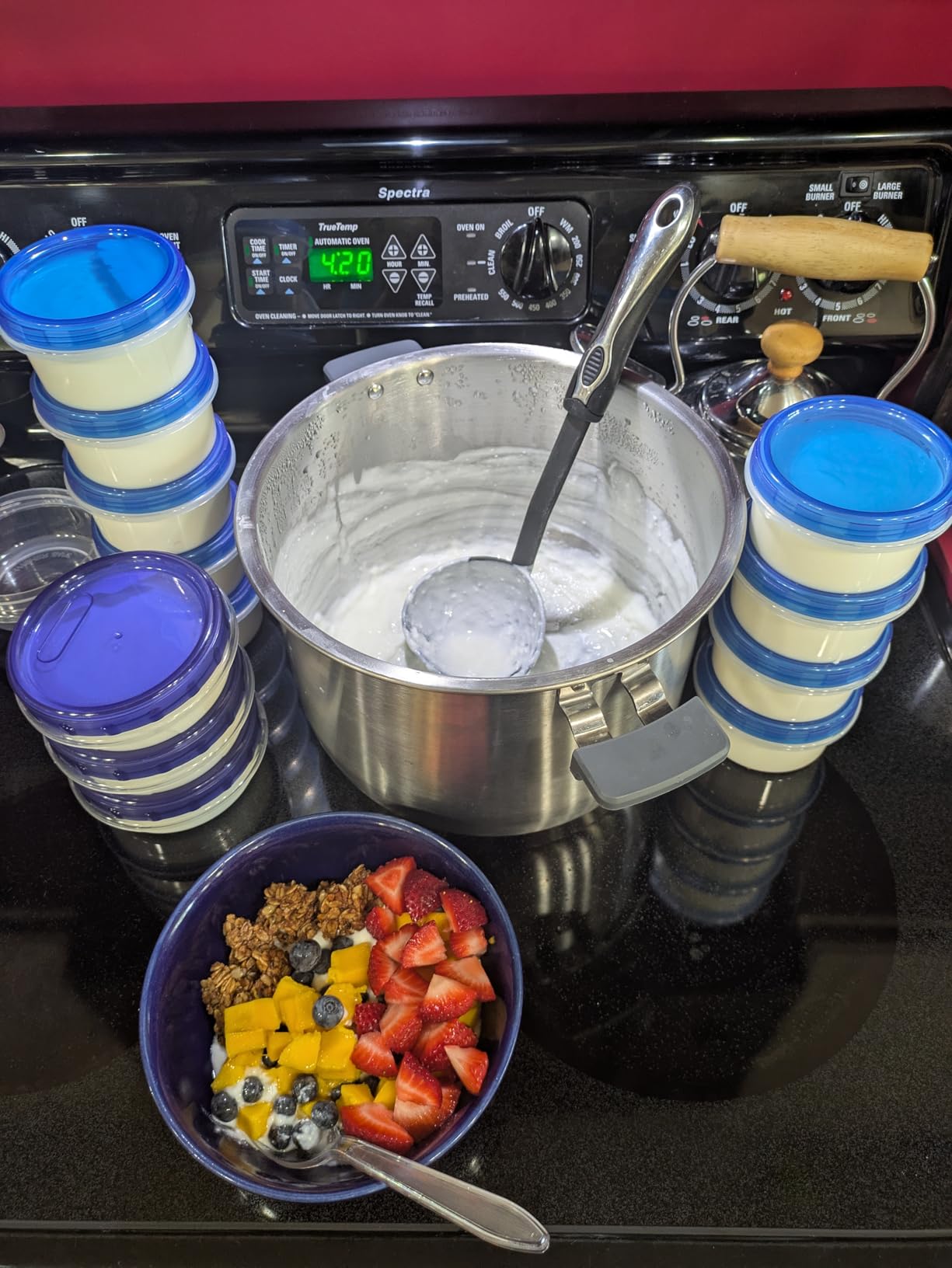 Cutting Edge Cultures LR Superfood Starter Pure L. Reuteri High CFU Low and Slow Fermentation Lab-Verified Reusable Maximum Probiotic Cultured Dairy Not a Yogurt Blend Non GMO Lactobacillus customer photo 2