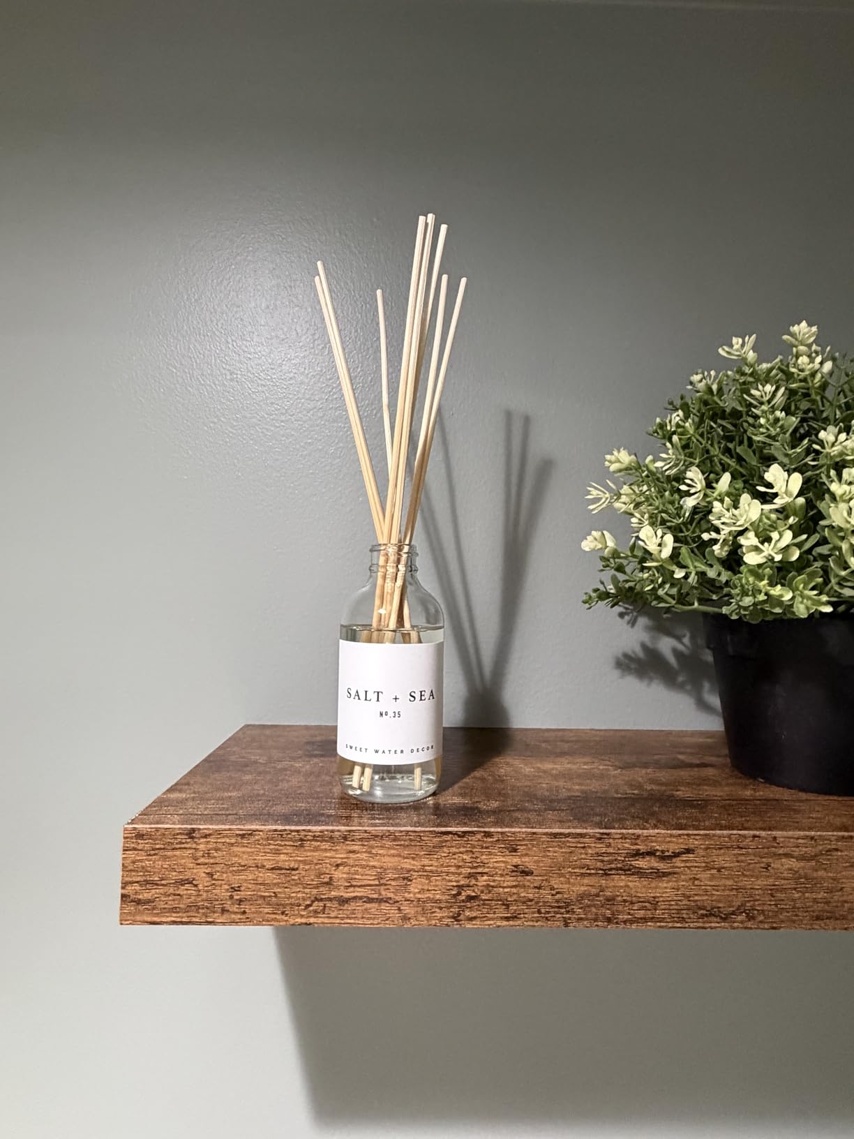 Sweet Water Decor Salt & Sea Reed Diffuser Set - Sea Salt Citrus & Musk Amber Scent Diffuser - Reed Diffusers for Home with Long Lasting Fragrance - Non-Toxic Oil Reed Diffuser - Made in the USA customer photo 2