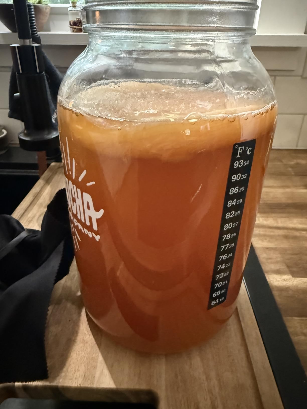 Kombucha Home Brewing Starter Kit | 5-Inch Large Scoby Kombucha Starter Kit | Complete Kit Includes What You Need w/ 16 oz Starter Tea, Brewing Jar & Brewing Supplies customer photo 1