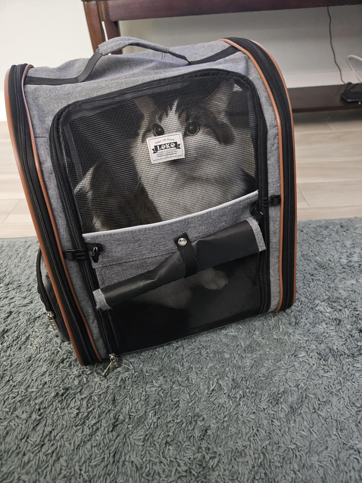 Lekebobor Cat Carrier Backpack, Expandable Pet Carrier with Sun Shade & Full Front Opening, Breathable Mesh Backpack for Small Dogs & Medium Cats Up to 18 Lbs, Foldable for Hiking, Camping (Grey) customer photo 2