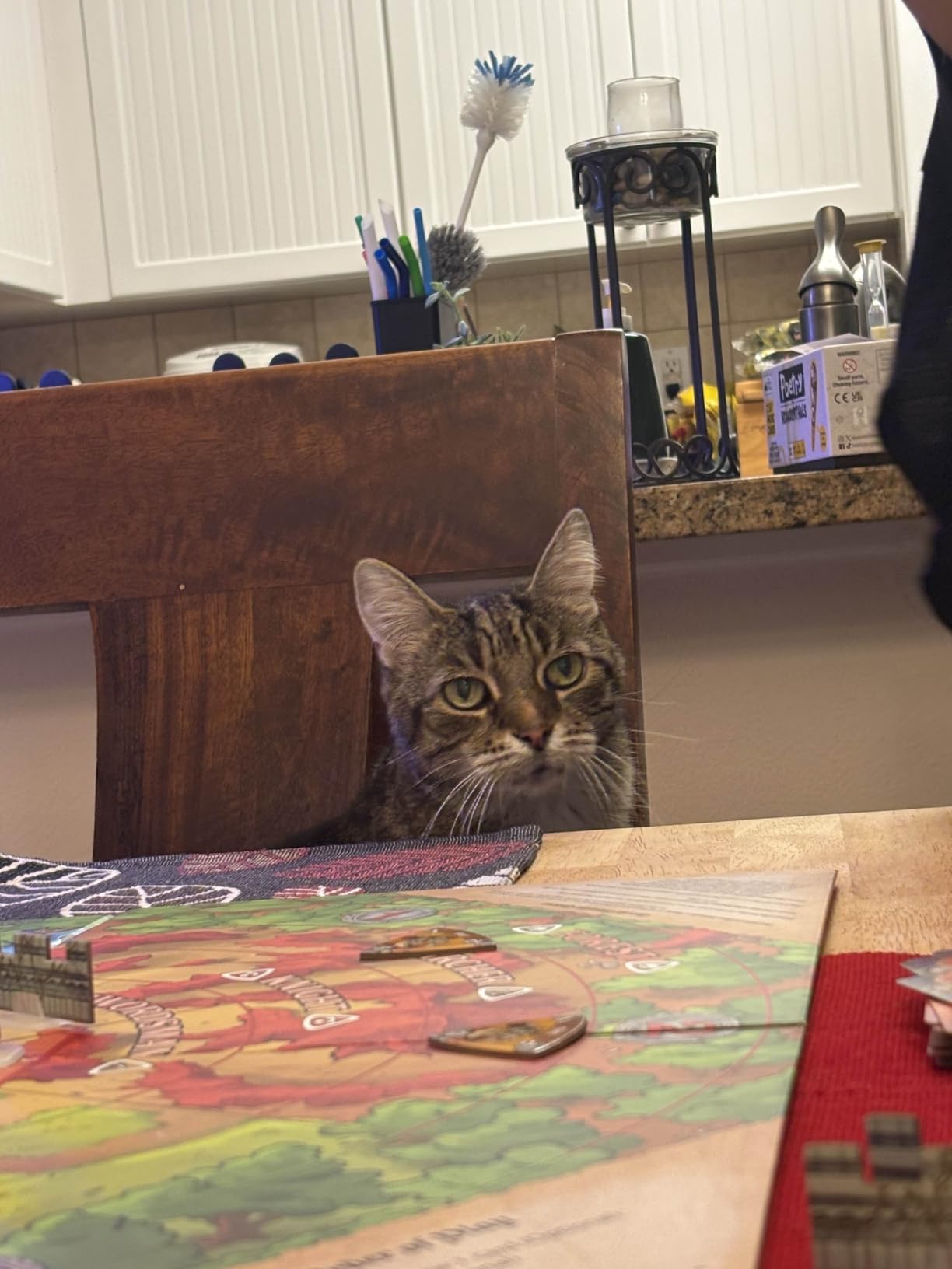 Castle Panic 2nd Edition | Cooperative Board Game for Adults and Family | Ages 8+ | for 1 to 6 Players | Average Playtime 45 Minutes | Made by Fireside Games customer photo 1