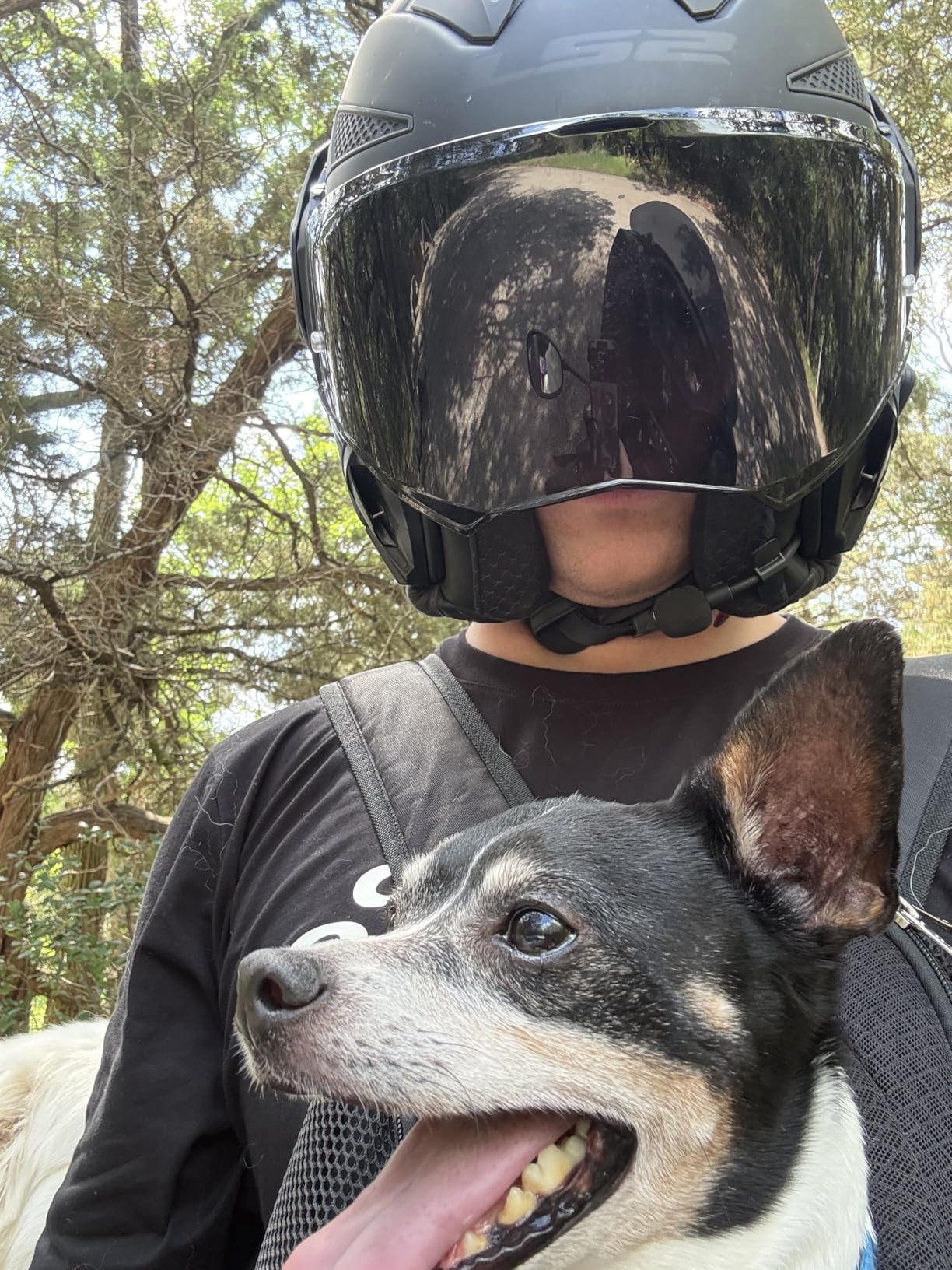 WOYYHO Pet Dog Carrier Backpack Small Dog Front Backpack Ventilated Mesh Dog Travel Back Pack with Safety Belt customer photo 2