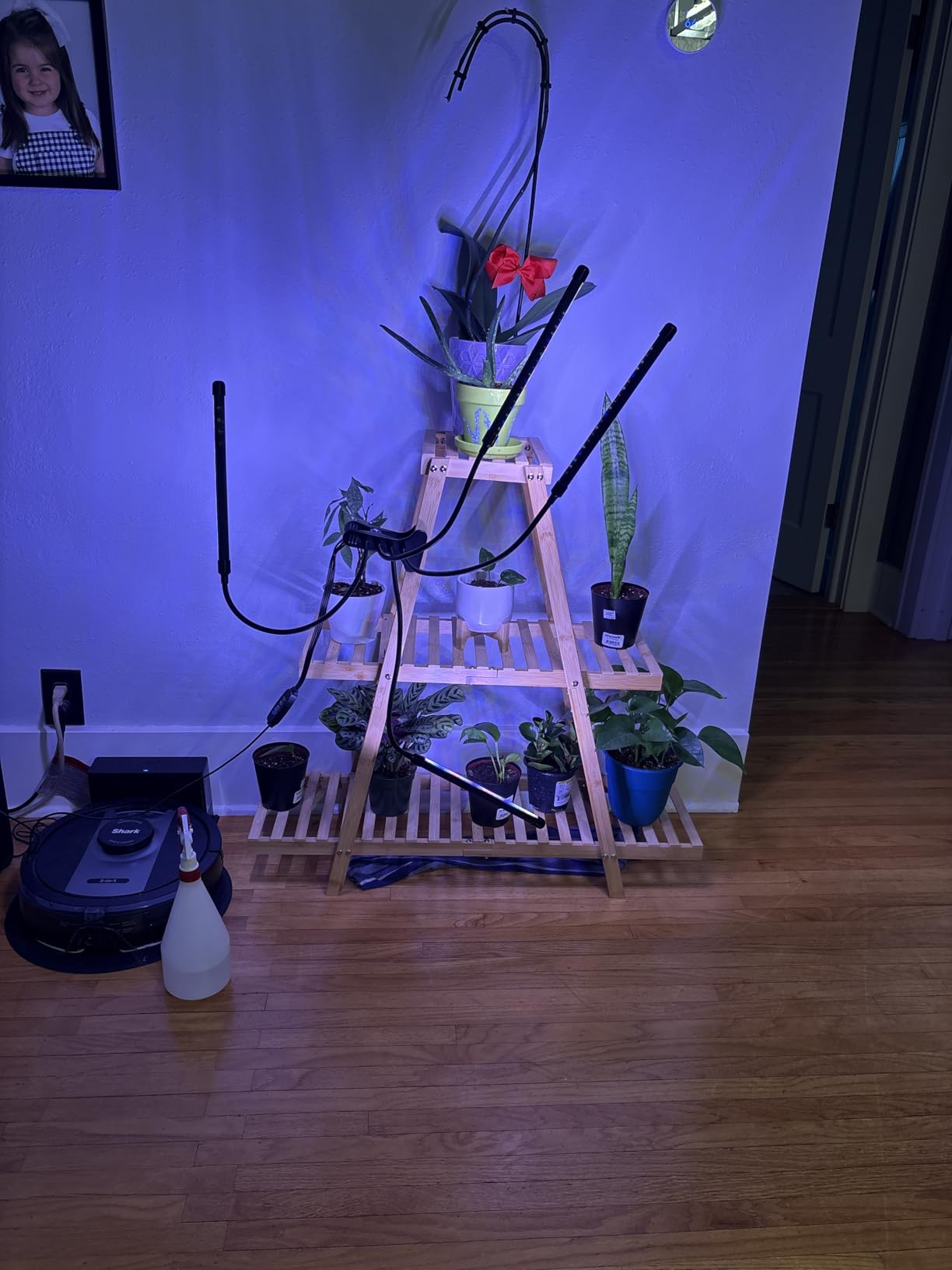 BMOSU Plant Stand Bamboo for Indoor Outdoor Tiered Plant Shelf 8 Potted Flower Holder Ladder Rack Garden Balcony Living Room Patio customer photo 2