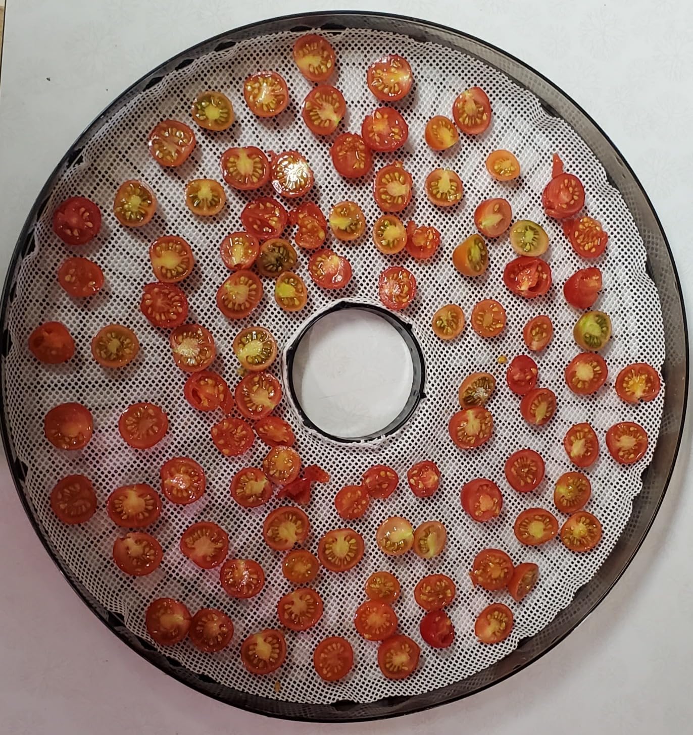 (8 Pack) Round Silicone Dehydrator Sheets, Dostk Premium Non Stick Silicone Mesh for Fruit Dehydrator, Tray Liner Reusable (Round 13