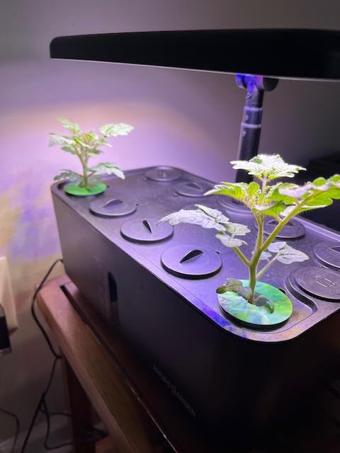 Ahopegarden Indoor Garden Hydroponics Growing System: 10 Pods Plant Germination Kit Herb Vegetable Growth Lamp Countertop with LED Grow Light customer photo 1