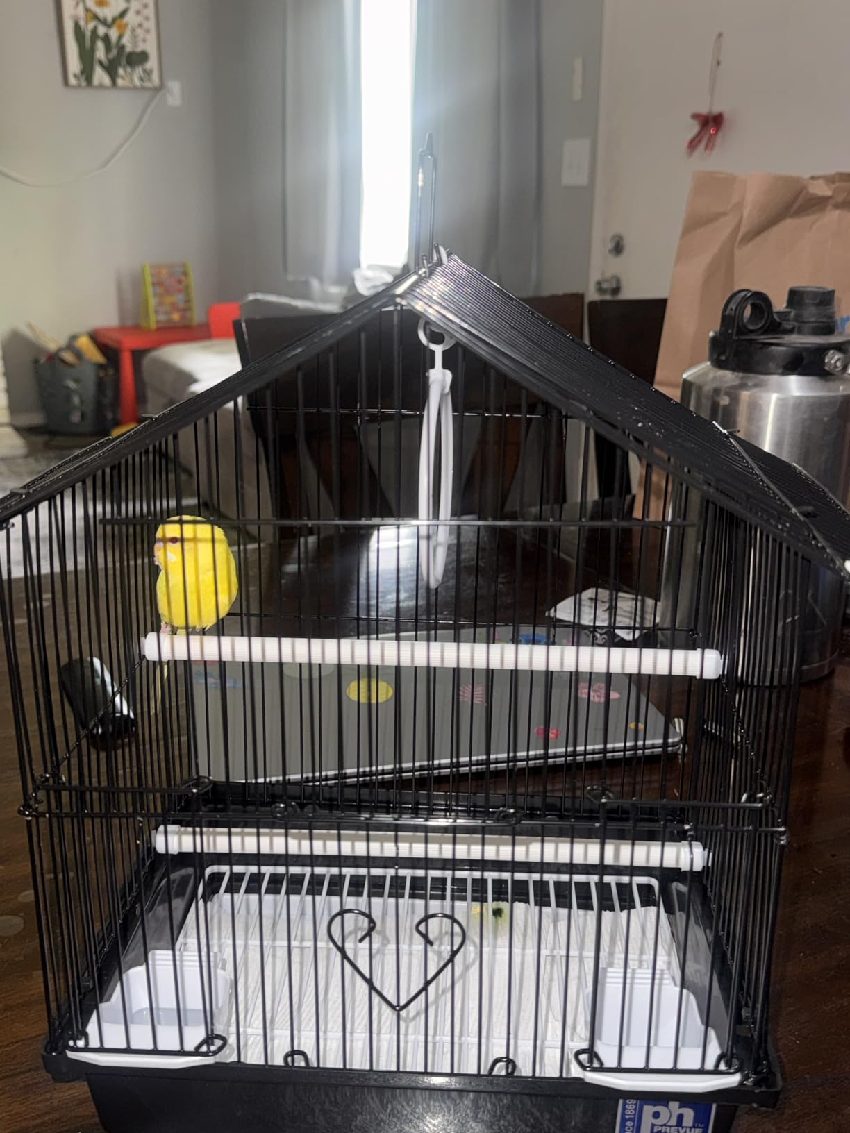 Prevue Pet Parakeet Manor Bird Cage with Handle - Versatile Carrier for Home or Travel, Small Bird Accessories, Easy Storage, Ideal for Canaries, Budgies, Finches, Parakeets, and More - Black customer photo 1
