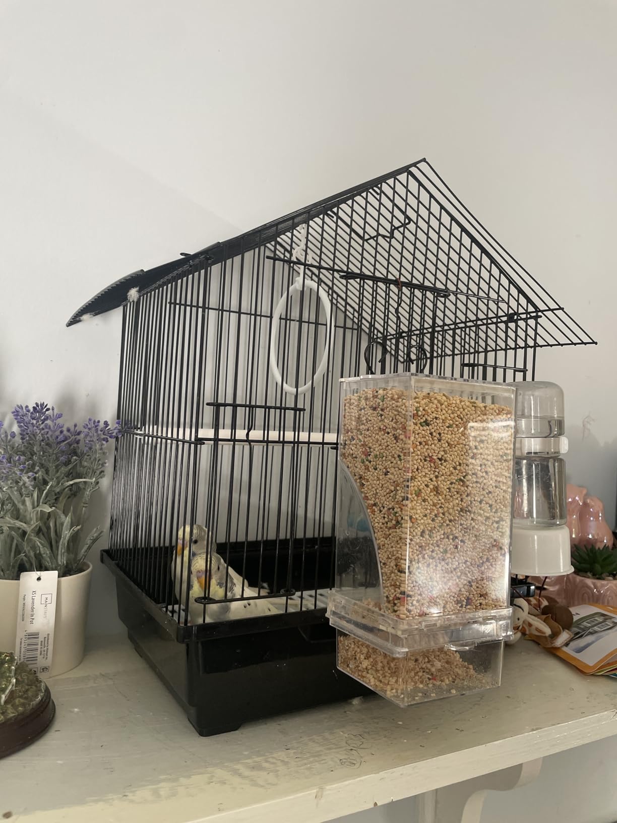 Prevue Pet Parakeet Manor Bird Cage with Handle - Versatile Carrier for Home or Travel, Small Bird Accessories, Easy Storage, Ideal for Canaries, Budgies, Finches, Parakeets, and More - Black customer photo 2