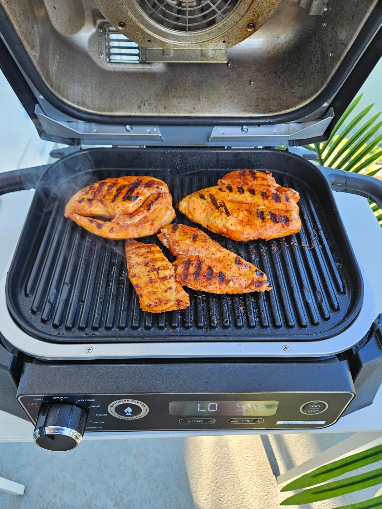Ninja OG751 Woodfire Pro Outdoor Grill Built-In Thermometer,7-in-1 Master Grill,BBQ Smoker,& Outdoor Air Fryer Plus Bake,Roast,Dehydrate & Broil,Woodfire Technology,Weather-Resistant,Grey XL customer photo 2