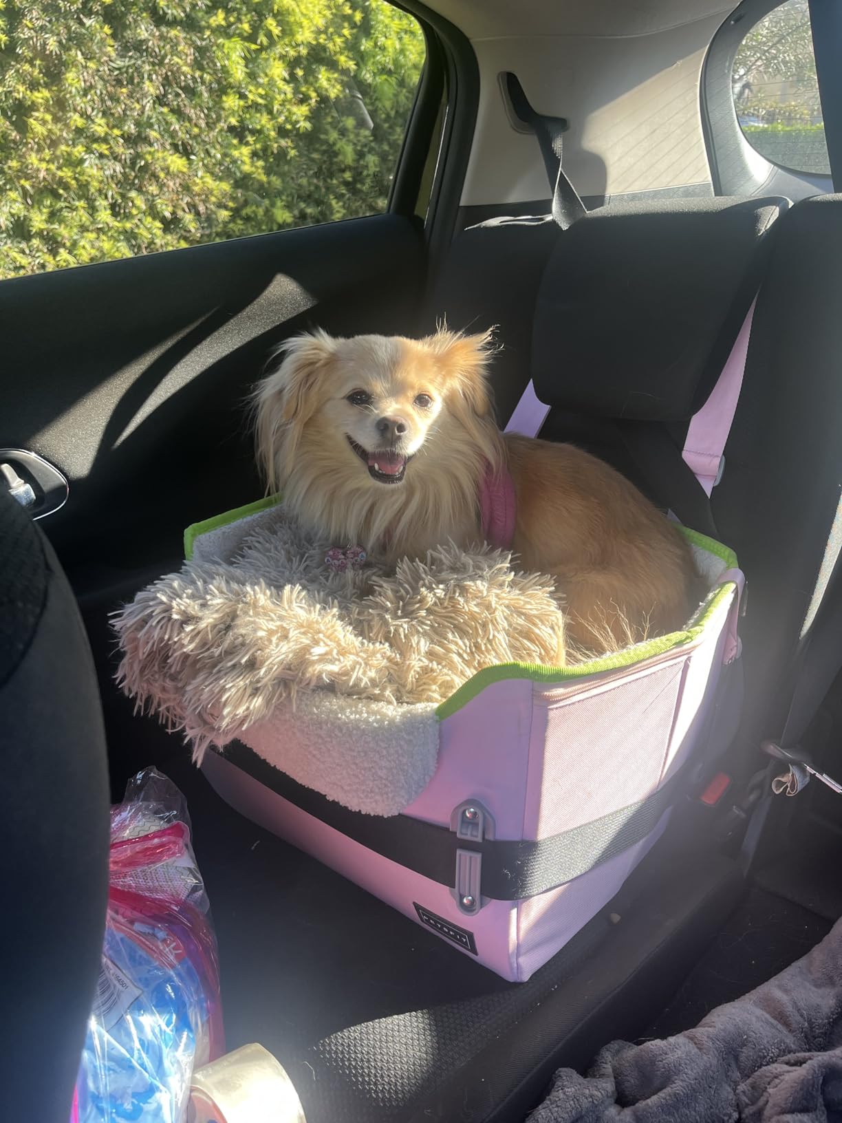PETSFIT Dog Car Seats for Small Dogs - Patented Safety Buckles - Safety Tether - Foldable Travel Dog Booster Car Seat Reduces Anxiety & Road Trips - Stable Frame, Soft Cushion, Fits Front/Back Seat customer photo 1