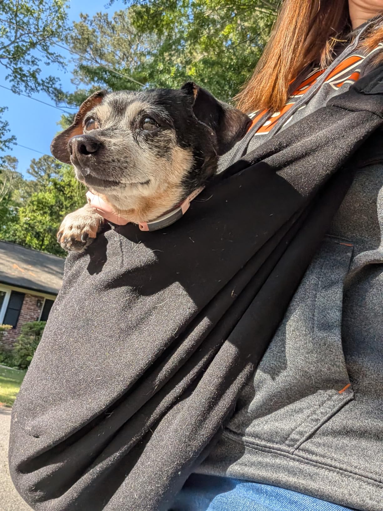 Tomkas Small Dog Sling Carrier - Classic Pocket & Classic Strap - Wrap Carrier - for 3-10 lbs Pets customer photo 2