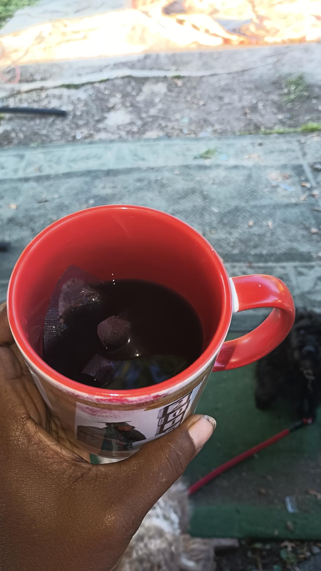 Luxmi Estates - Valerian Dream - Organic Valerian Root Tea for Sleep - Loose Leaf - 50g (25 Cups) | with Valerian Root, Chamomile & Lavender | Perfect Wellness Sleep Tea customer photo 2