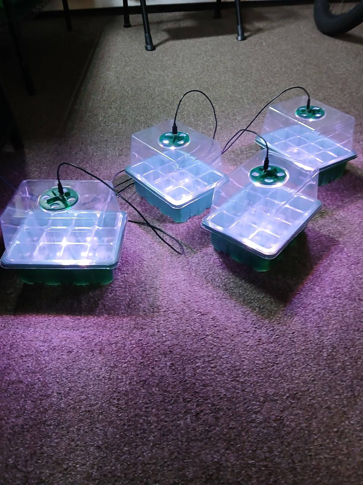 YAUNGEL Seed Starter Tray with Grow Light, 6 Pack Seed Starter Kit with Timing Controller Adjustable Brightness, Thicken Seedling Starter Trays with Humidity Domes Heightened Lids, Gift Box customer photo 1
