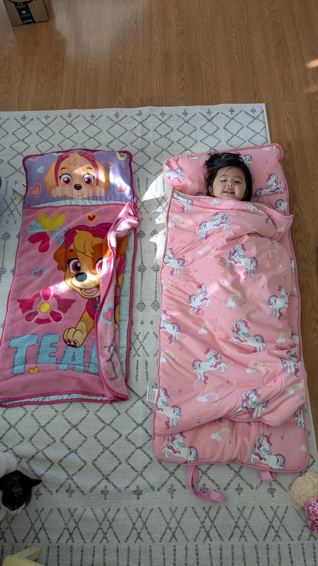 Primlect Thickened Toddler Nap Mat with Removable Pillow and Minky Blanket, Extra Large 55''x35'' Sleeping Bag, Washable, Roll up, Perfect for Daycare, Preschool, Kindergarten, Boys and Girls Dinosaur customer photo 1